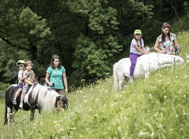 Die Welt der Ponys kennenlernen